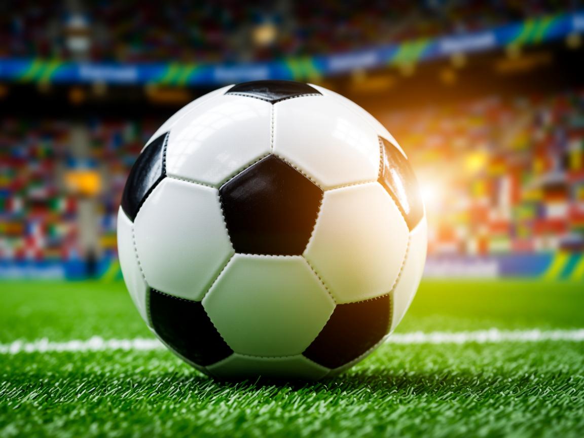 db真人体育官网-观众沉浸式观赛体验走进现实，沉浸式参观  第2张